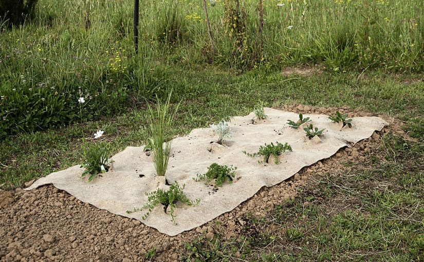 Adesso anche il giardino lo sa