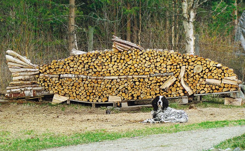 L’indimenticabile profumo del legno fresco