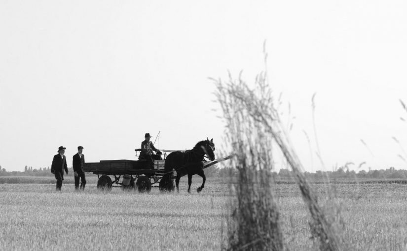 La storia, le storie / La memoria di un giorno