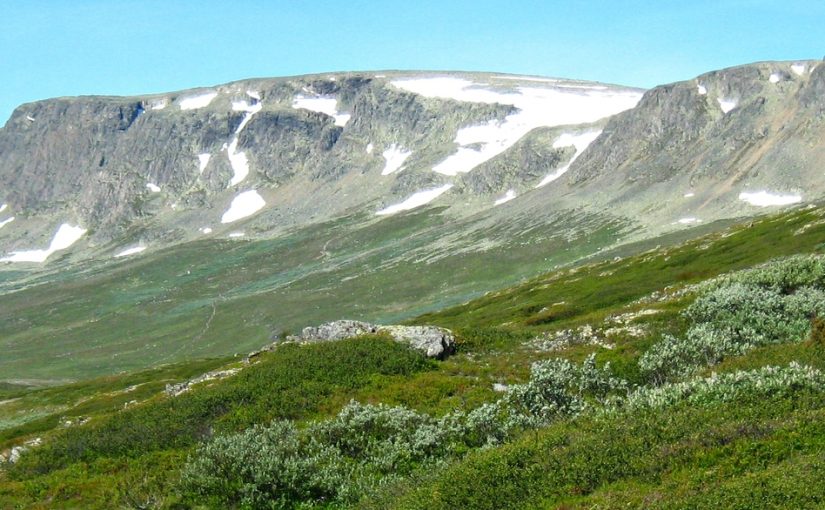 L’ecologia e il sentimento di esistere